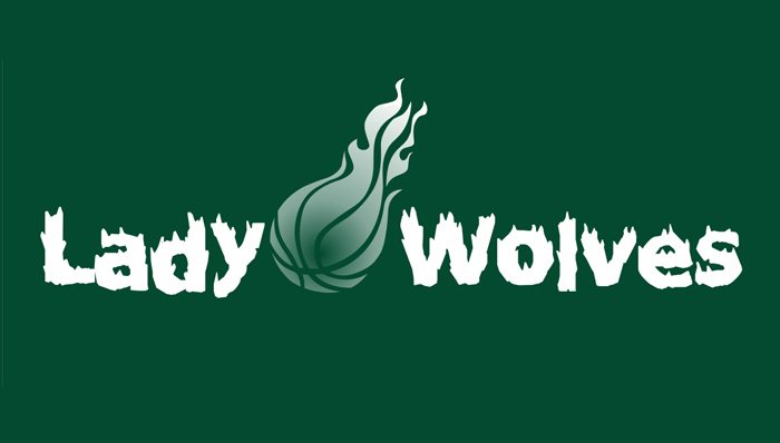 Custom Basketball T-Shirt School Team